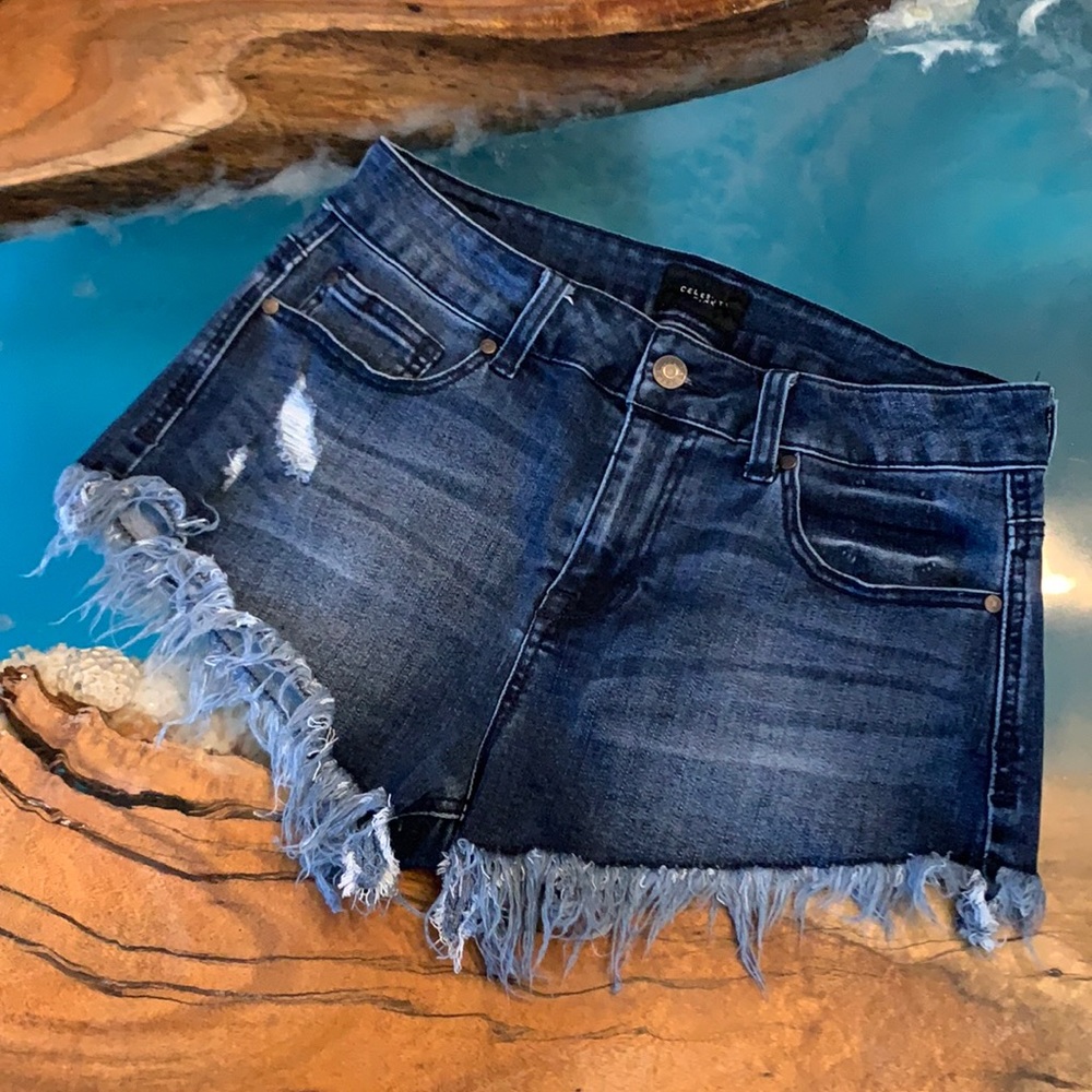 Celebrity Pink Brand Shorts